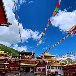 Meet your Posher, Anne